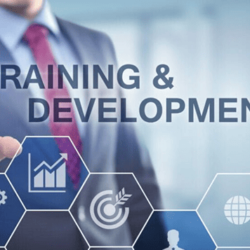 training and development